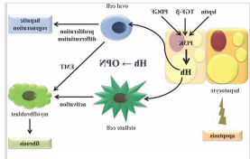 ICG-HSA-OPN ICG-HSA-OPN