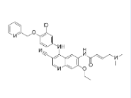 cy7荧光标记来那替尼