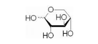荧光标记木糖Xylose