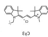 Cy3