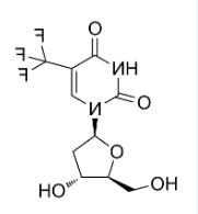 FITC荧光标记三氟胸苷 FITC荧光标记三氟胸苷