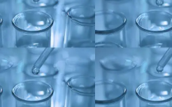  FITC荧光标记凝血酶Thrombin