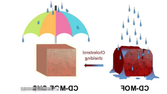 γ-环糊精金属有机骨架材料(CDMOFs) γ-环糊精金属有机骨架材料(CDMOFs)
