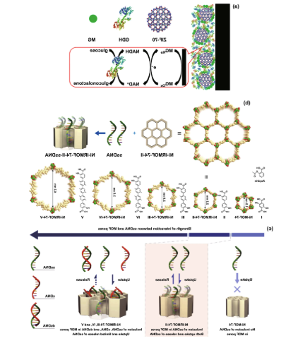 DOX/MoS2@ZIF-8 DOX/MoS2@ZIF-8
