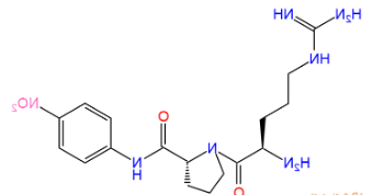 H-Arg-Pro-pNA