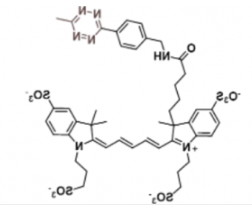 荧光染料Alexa Fluor 647 Me-Tetrazine甲基四嗪的溶解度