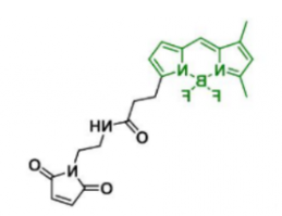 荧光染料BDP FL Maleimide  CAS:773859-49-7是什么颜色的？