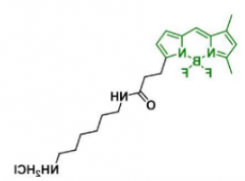 荧光染料BDP FL NH2/amine氨基，CAS:2183473-03-0的物化性质及结构式
