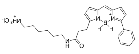 荧光染料BDP R6G amine氨基，CAS:2183473-06-3（HCl），2183473-05-2的激发波长是多少？