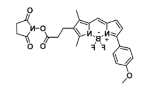 荧光染料BDP TMR NHS ester/琥珀酰亚胺活化酯，CAS:485397-12-4的激发发射波长是多少？