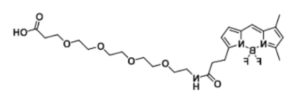荧光染料BODIPY FL-PEG4-COOH/carboxylic acid/羧基羧酸的产品参数及相关产品介绍