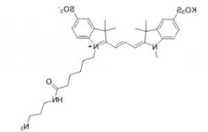 diSulfo-Cy3 azide/N3/叠氮(Methyl)，二磺酸基Cy3-叠氮(甲基）CAS:2055138-89-9溶于哪些溶剂？