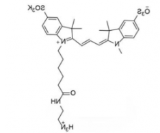 水溶性磺酸基荧光染料diSulfo-Cy3 C2 amine/NH2/氨基，Ex/Em(nm) 552/563