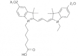 水溶性磺酸基Sulfo-Cy3 carboxylic acid/COOH/羧基羧酸(Ethyl) ，CAS:146368-13-0，Ex/Em(nm) 548/562