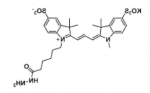 水溶性二磺酸基荧光染料diSulfo-Cy3 hydrazide/N3/叠氮，CAS:2144762-62-7，Ex/Em(nm) 548/563