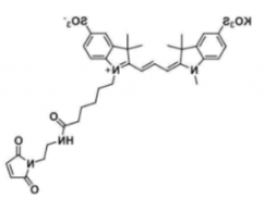水溶性磺酸基荧光染料diSulfo-Cy3 maleimide/马来酰亚胺，CAS:1656990-68-9溶解度解析
