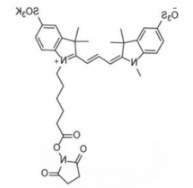 水溶性diSulfo-Cy3 NHS ester/甲基琥珀酰亚胺活化酯 (Methyl)，CAS:1424150-38-8是什么颜色的？