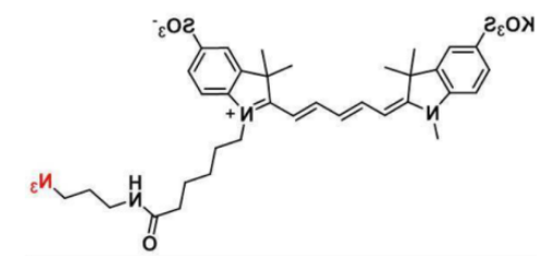 水溶性二磺酸基diSulfo-Cy5 azide/N3/叠氮，CAS：1481447-40-8
