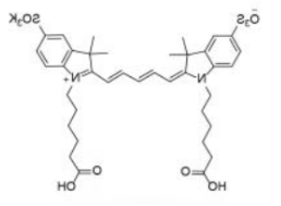 水溶性二磺酸基diSulfo-Cy5 carboxylic acid/COOH/羧基羧酸(Di)，CAS:252255-40-6
