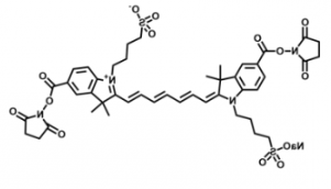 水溶性二磺酸基diSulfo-Cy7 Bis-NHS ester/琥珀酰亚胺活化酯 的溶解性如何，溶于哪些溶剂？