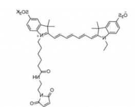 水溶性二磺酸基荧光染料diSulfo-Cy7 maleimide/马来酰亚胺(Ethyl乙基)，CAS:1422279-40-0，溶于water,alcohols, DMSO, DMF
