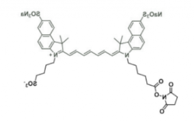 二磺酸水溶性吲哚菁绿disulfo-ICG NHS ester/琥珀酰亚胺活化酯，Ex/Em(nm) 751/830