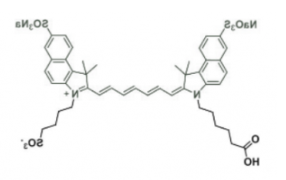 吲哚菁绿荧光染料ICG carboxylic acid/COOH/羧基羧酸，CAS:181934-09-8，Cy7.5 Acid(mono SO3)