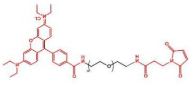 荧光染料罗丹明-聚乙二醇-马来酰亚胺，Rhodamine-PEG-Maleimide溶解度及结构式解析