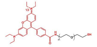 罗丹明聚乙二醇巯基，Rhodamine-PEG-thiol，RB-PEG-SH产品性质及结构式解析