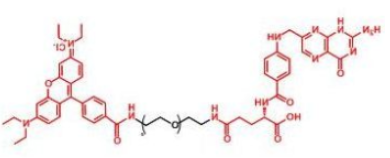 荧光染料罗丹明-聚乙二醇-叶酸，RB-PEG-FA，Rhodamine-PEG-Folate产品性质解析