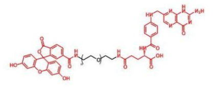 荧光素标记聚乙二醇叶酸，FITC-PEG-FA，Fluorescent-PEG-Folate产品解析及相关产品推荐