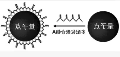 溶性量子点 溶性量子点