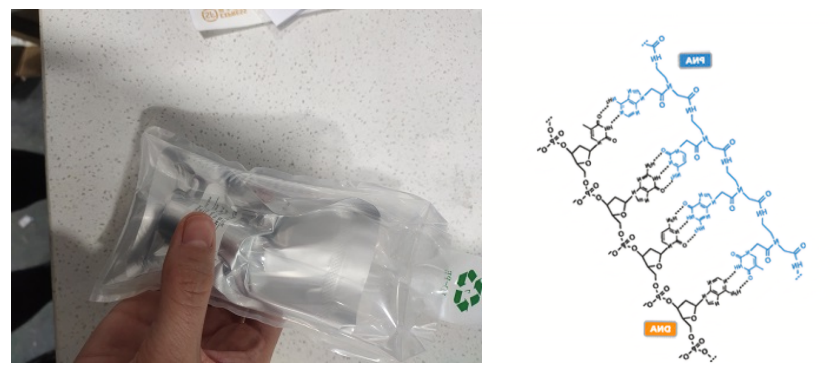 大豆过氧化酶标记肽核酸 大豆过氧化酶标记肽核酸