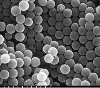 Protein-SiO2 nanospheres
