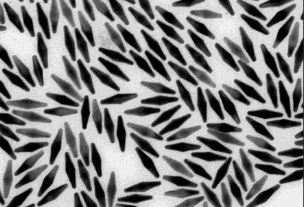 gold-nanobipyramids