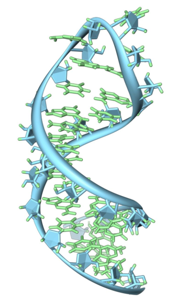 HiLyte Fluor荧光染料标记核糖核酸RNA HiLyte Fluor荧光染料标记核糖核酸RNA