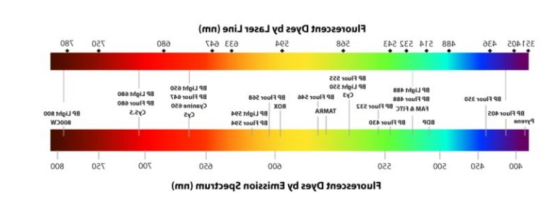 5-羧基四甲基罗丹明标记磁性二氧化钛纳米粒 5-羧基四甲基罗丹明标记磁性二氧化钛纳米粒