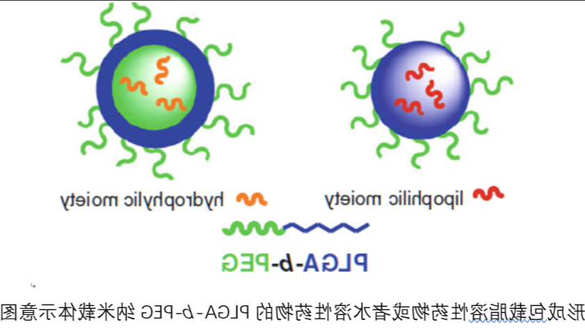 灯盏乙素-聚乙二醇-聚乳酸/羟基乙酸共聚物(PEG-PLGA)载药纳米粒 灯盏乙素-聚乙二醇-聚乳酸/羟基乙酸共聚物(PEG-PLGA)载药纳米粒