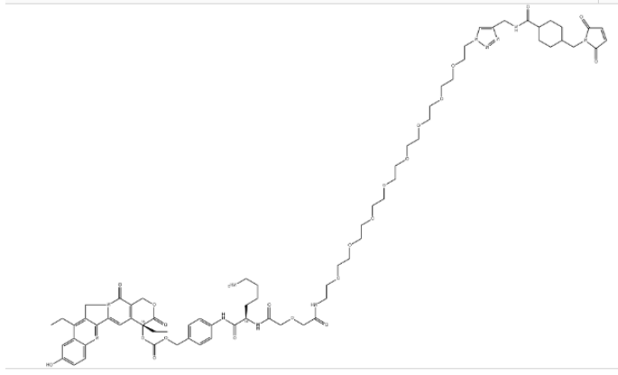 CL2A-SN 38