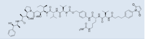 MPB-vc-PAB-MMAE
