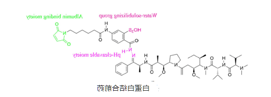 叶酸偶联米托蒽醌牛血清白蛋白纳米粒