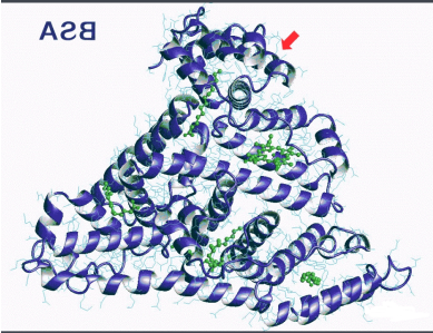 FA-EGCG-BSANP FA-EGCG-BSANP