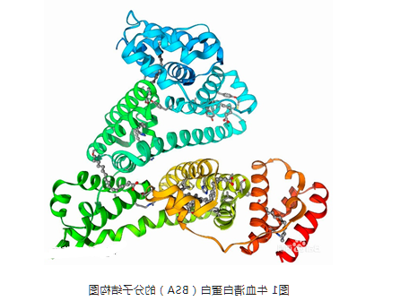 叶酸修饰蓓萨罗丁牛血清白蛋白纳米粒