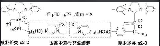 离子液体修饰纳米粒子 离子液体修饰纳米粒子