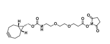 endo-BCN-PEG2-NHS ester endo-BCN-PEG2-NHS ester