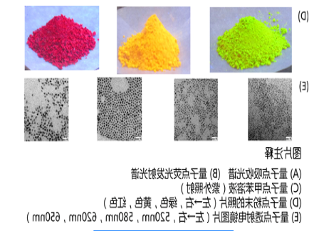 油溶性CdSe量子点