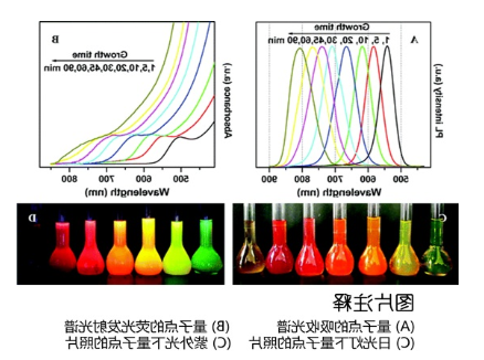 水溶性CdTe/CdS量子点