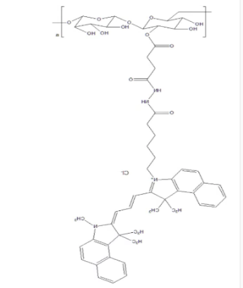 葡聚糖-Cy3.5