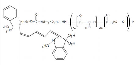 PLGA-CY5