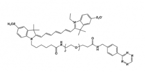Tetrazine-PEG-Cy7